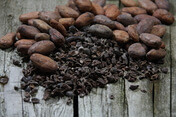 Kakao Bild Naturkost UEbelhoer